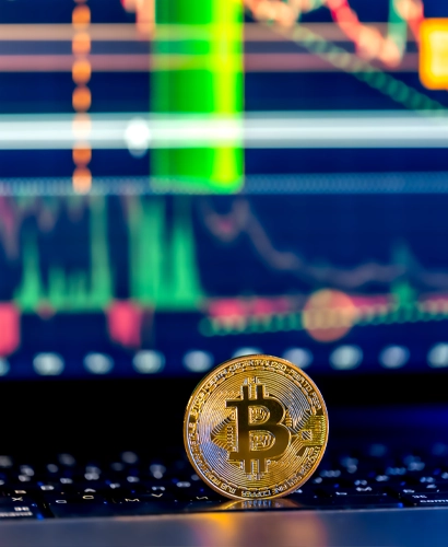 BitReich Trading Informationen